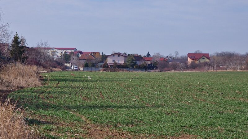 Balotesti, Saftica, teren deosebit deschidere la 2 drumuri.